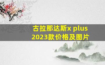 古拉那达斯x plus 2023款价格及图片